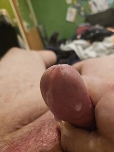 Gris-shadow Kuckt slika 3