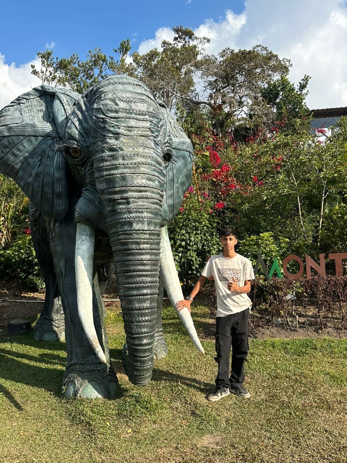 lucian_davii 熱門圖片 1459