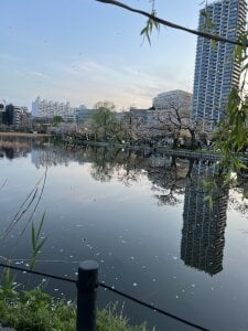 HanaQueen69 Public Pic 3