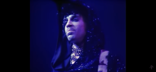 Public de CowboyZuhly  8 photos