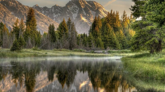 hpstar9x Public Pic 5