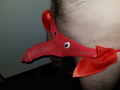 kong_smurfette kullanıcısının Public albümü -  2 fotoğraf