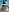 HIGE ASS NUDES PACK! de Alice_Attiva Fotos