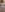 DianiQueenn TITS Pic 5