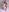 AnaisLeblanc SEXY BLOOM! 💞 Pic 4