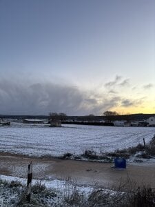 Lily_WellGifted: 2026 ( фото)