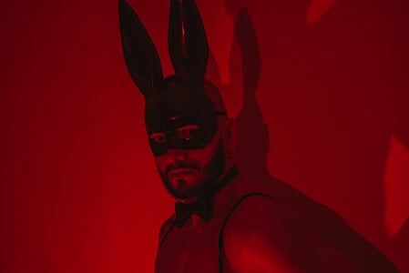 castle_87 BUNNY ON THE LOOKOUT!!! Pic 2