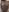 La_ProfX Vibe Photo