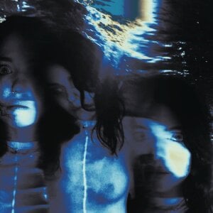 ArlineCarroll Public Pic 3