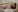 Anika_bloom Floral mood Pic 7