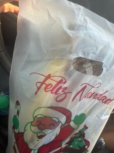 innocenttemplegirl aid 2026 Pic 2