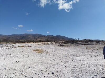 flaco_ortega81 Juju Pic