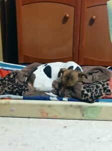 anastasiadaniela María Daniela Poză 2