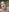thetinyblue Outdoor BJ POV Spit Fetish Pic 5