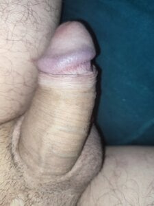 New de haker_shukar  6 photos