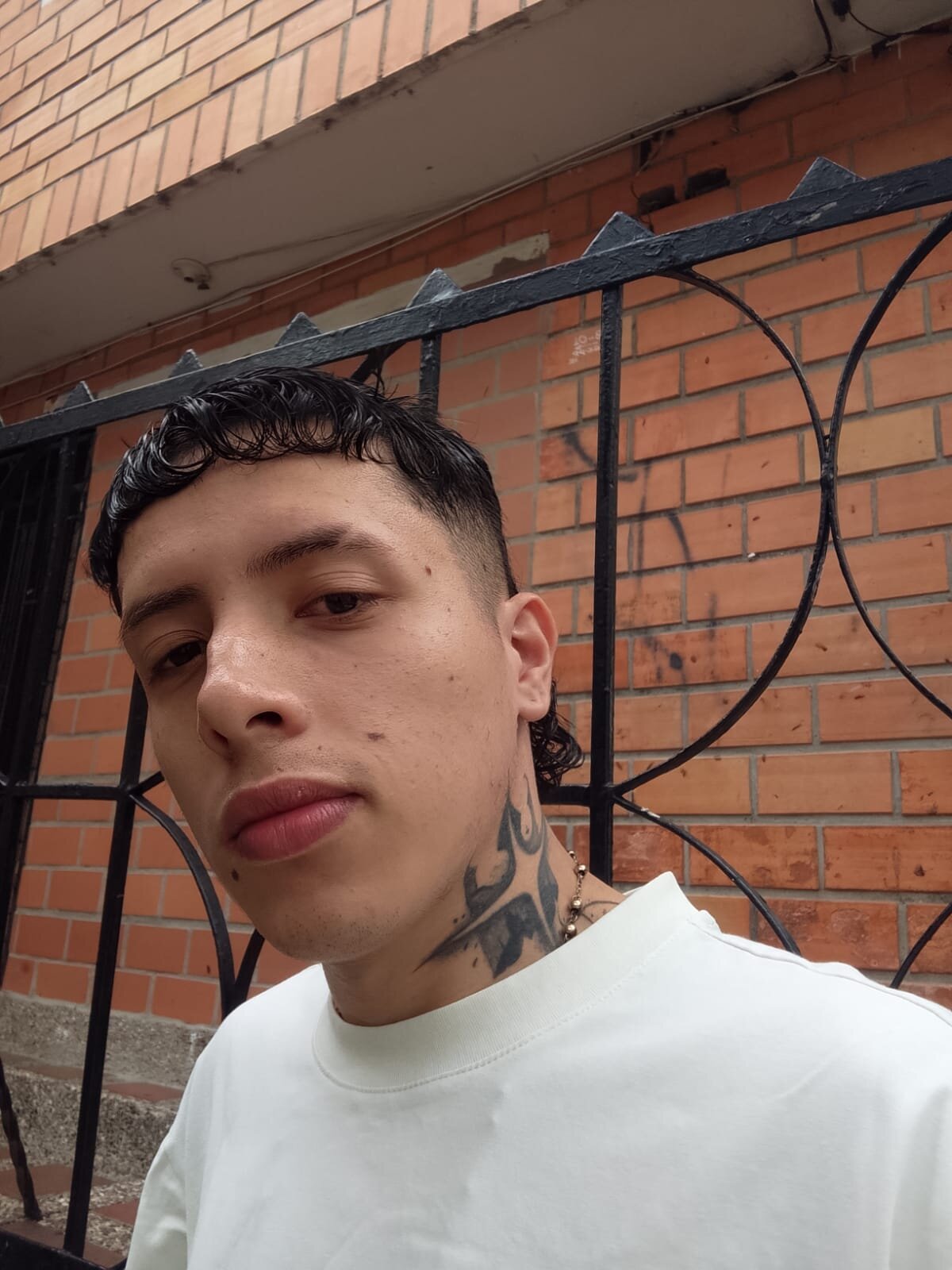 Трендове зображення  3232 ESTEBAN_2102