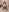 mom4you New1 Photo 9