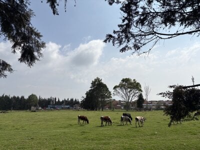 My days of happiness od valen_natasha  5 snímek