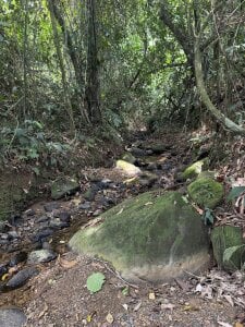 brenda_moris01 My Trip😎  9টি ছবি