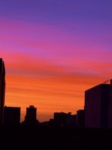 Ory_stev Public Pic 4