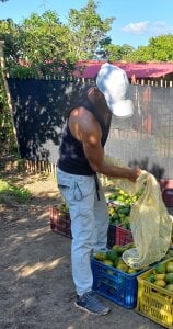 casual moments 😎 Instantes casuales 👍 de AlphaAlterX  3 photos