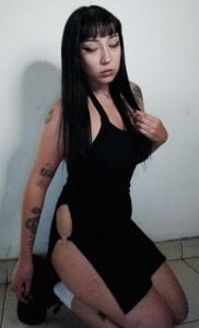 KomiCatt Public Pic 2