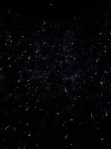 yua_chan00のPublicの枚の写真