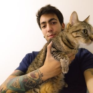 Federico544 Me Gambar 4