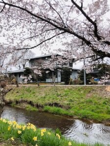 HinaLovely My life Hình 9