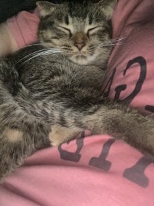 Chloe_embe Meo Meo Pic 2