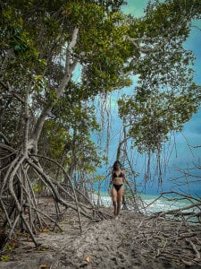 azula_lillet Azula💙  6টি ছবি