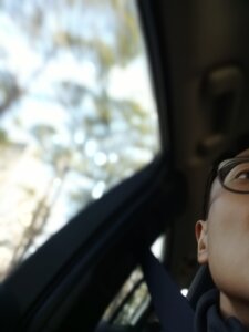 BunchedDogsbody Public Immagine  2