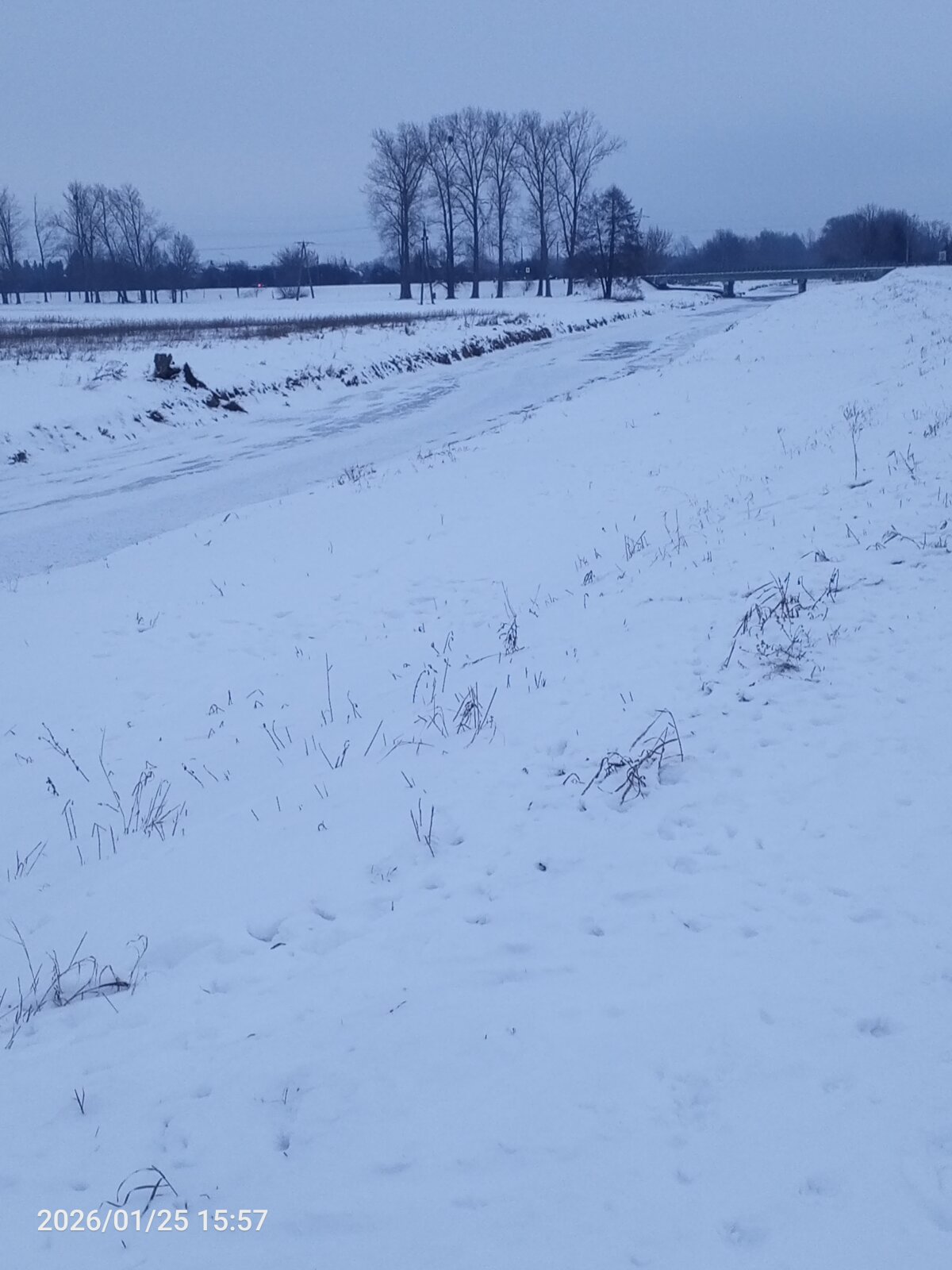 perversalus Poză populară 1264