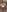 Nicolette__Shea_ Exlusive content 5 Pic