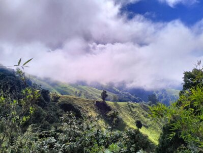 AshleyandCleo Nature Pic 7