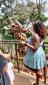 t-Shanshah2 Public Pic 4