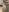 Mia_Roxie Hairy pussy close-up and different poses Pic 7