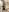 kira_proxima_02 🌶️🌶️🌶️ Photo 2