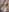 littleserina New year new content ✨ Pic 5