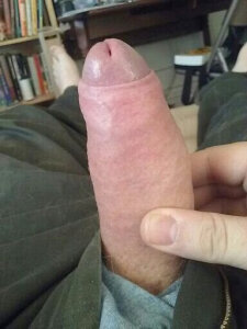 Hornychitown24 Public slika