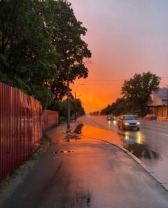 TeodoraChampy food Pic 4