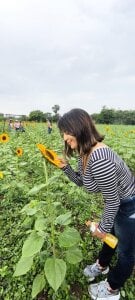 1julianasalazar a band-aid to the heart / una tirita para el corazón 圖片