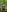 IconaDidiFit Tease in Nature照片 7