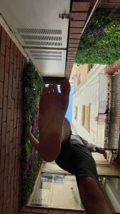 DiositoHerus Public صورة واحدة|DiositoHerus Public صورتان|DiositoHerus Public  6 صور|DiositoHerus Public  6 صورة