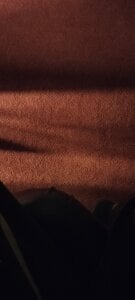 HIIMSINGLEBOY Public Pic 3