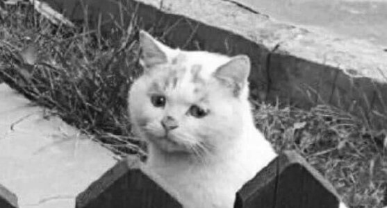 Erik-martinez Public Pic 2