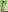 BeccaWilssonsex photos照片