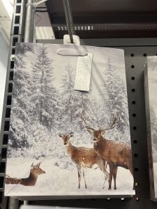 awesomemilkss: Public ( фото)