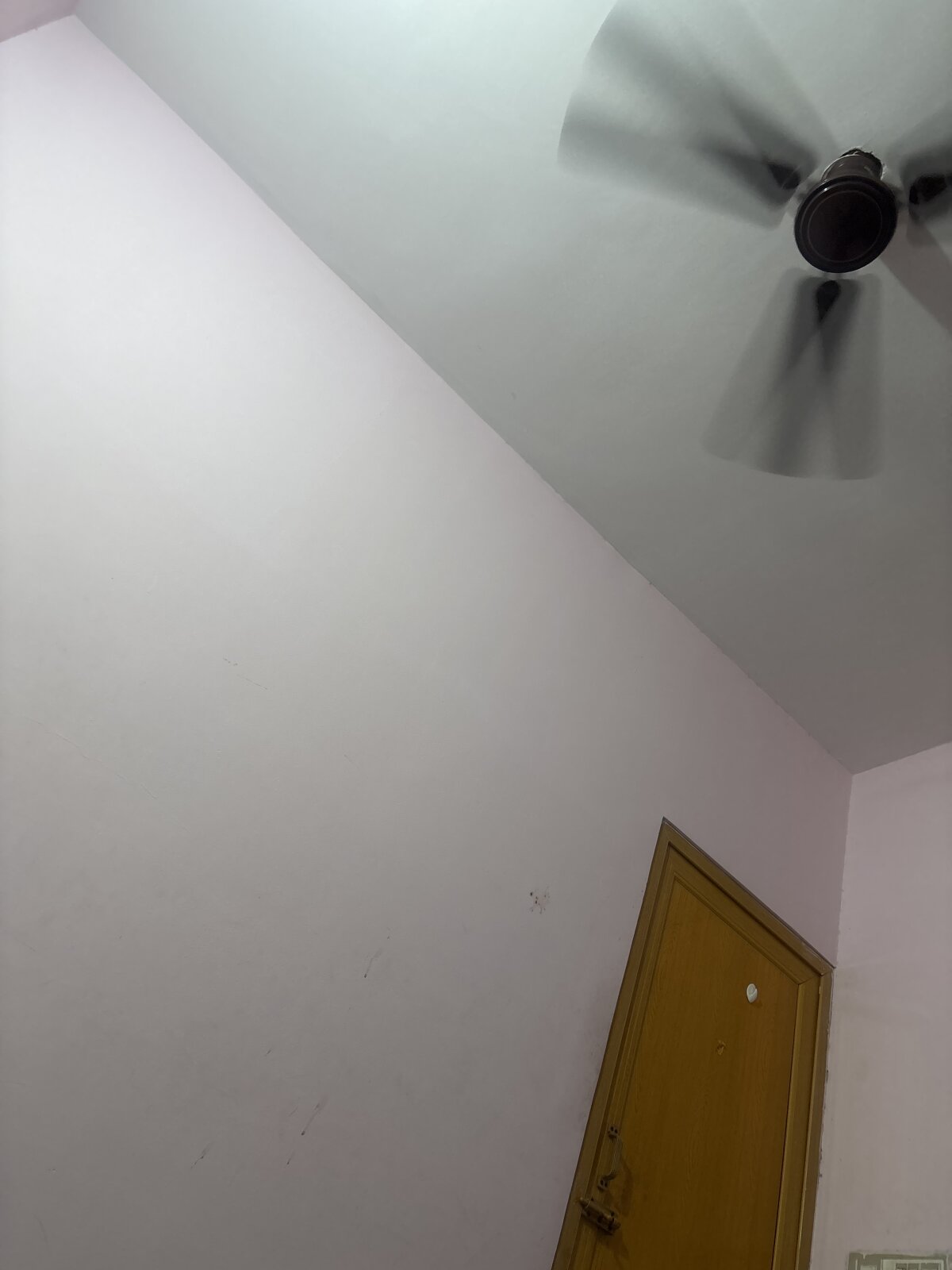 suckthedick-6  8345. kiemelt képe