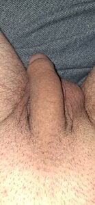 Pelohuszar Hmm Pic 4